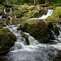 Wilderness Waterfalls