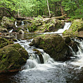 Wilderness Waterfalls