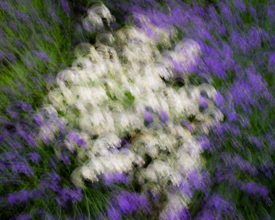 Abstracts